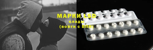 бошки Бронницы