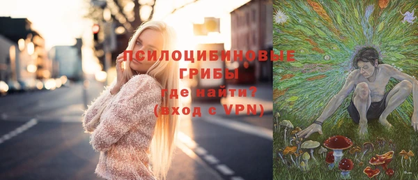 стафф Богородицк
